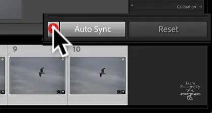 batch editing using auto sync